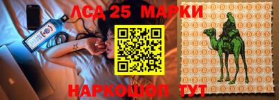 индика Жуковский