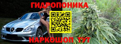 индика Жуковский
