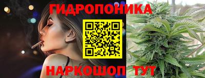индика Жуковский