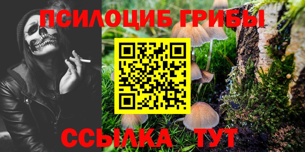 Галлюциногенные грибы прущие грибы  Псилоцибиновые грибы GOLDEN TEACHER  Лыткарино  Вход с VPN 