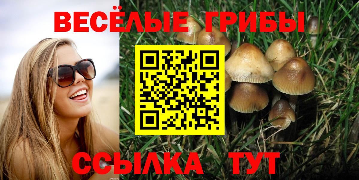 Галлюциногенные грибы мицелий Лыткарино